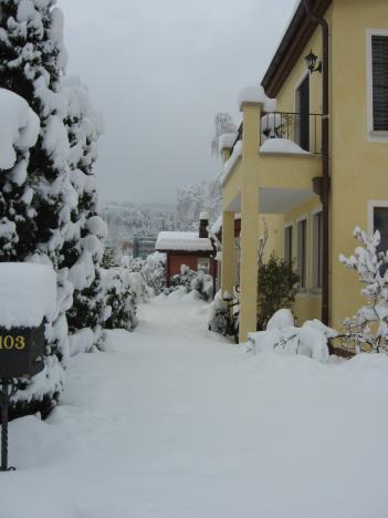 Schnee 023.jpg   19kb   26.03.2021 22:29:26